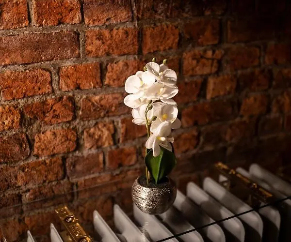 Berliner Hof Hotel 3*